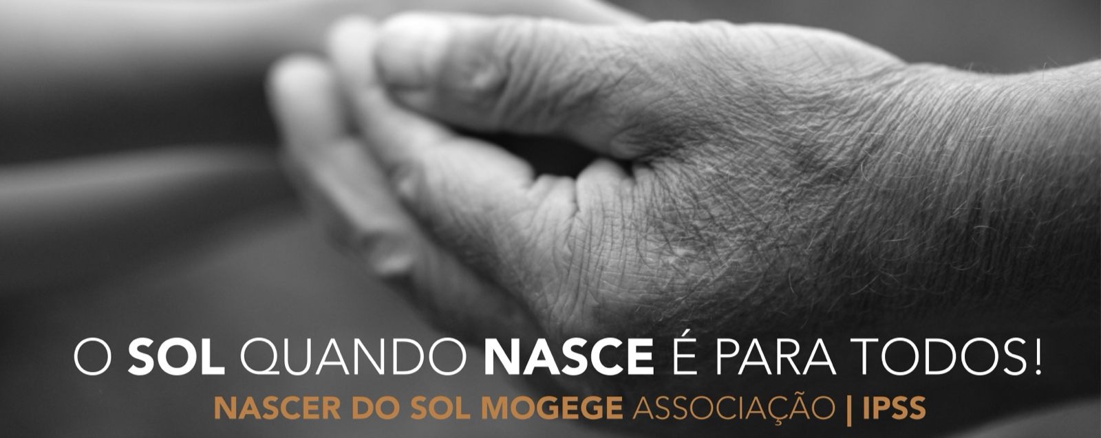 CAPA_WEBSITE